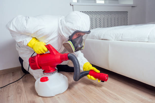 Professional Pest Control in Farmington, MO