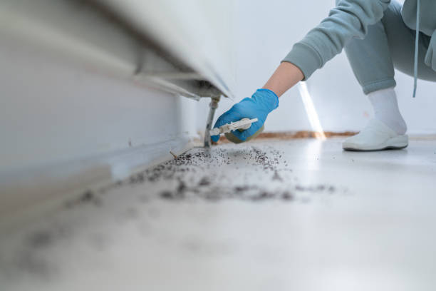 Best Best Pest Control Companies  in Farmington, MO