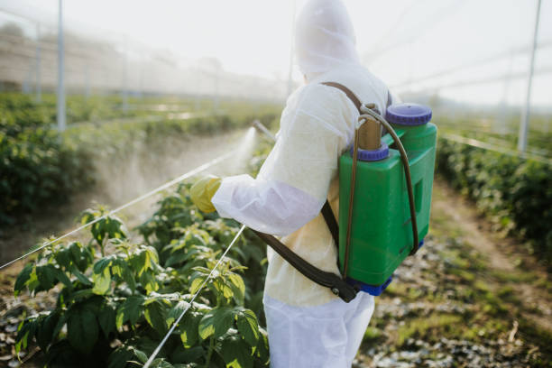 Best Mosquito Control Services  in Farmington, MO
